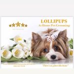 Tracy Moss - @lollipupspetgrooming Instagram Profile Photo