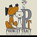 Pouncey Tract Vet Hospital - @pounceytractvet Instagram Profile Photo