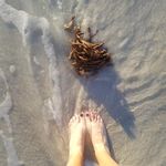 Tracy Shoemake - @tlshoes23 Instagram Profile Photo