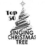 The Singing Christmas Tree - @celebratingthesct Instagram Profile Photo