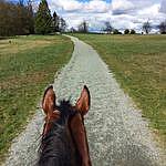 Campbell Valley Equestrian - @campbellvalley_eq Instagram Profile Photo
