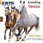 Breeding Verosa - @breeding_verosa Instagram Profile Photo