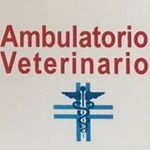 Ambulatorio Vet. Meschio - @ambulatorioveterinariomeschio Instagram Profile Photo