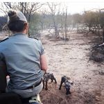 Vicky Simmons - @simmons_safari Instagram Profile Photo