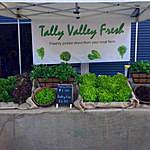 Vicki Kennedy - @tally_valley_fresh Instagram Profile Photo