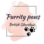 Vickie Lawson - @purrity_paws Instagram Profile Photo