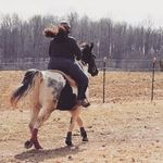 Victoria Bunton - @valorous_equine Instagram Profile Photo