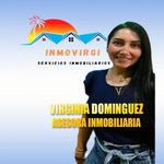 VIRGINIA DOMINGUEZ - @inmobiliaria_virginiadominguez Instagram Profile Photo
