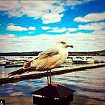 Newburgh Waterfront - @newburghwaterfront Instagram Profile Photo