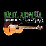 Homenaje al Rock Andaluz - @nocheandaluza Instagram Profile Photo