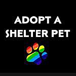 Wayne Animal Shelter - @adopt.a.shelter.pet.wayne Instagram Profile Photo