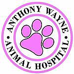Anthony Wayne Animal Hospital - @awahospital Instagram Profile Photo