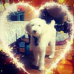 Wendi Kelley - @poolpoodle Instagram Profile Photo