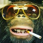 Graham Williams - @barking__monkey Instagram Profile Photo