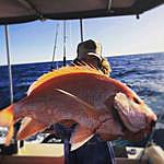 William Browne - @wills_fishing7 Instagram Profile Photo