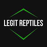 William Day - @legit_reptiles Instagram Profile Photo
