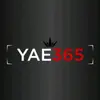 Alan Carmichael - @yae_365 Tiktok Profile Photo