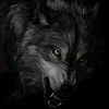 Albert Stark - @_thelonewolf7_ Tiktok Profile Photo