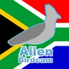  - @allenbirdcam Tiktok Profile Photo