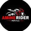 Amine Rider - @aminerider1 Tiktok Profile Photo