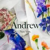 Andrew New York - @andrewnewyork Tiktok Profile Photo