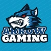 Arrow_Rider - @arrow_rider8 Tiktok Profile Photo