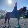 Bethany Hill - @bethany_equestrian_ Tiktok Profile Photo