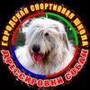  - @bettydog Tiktok Profile Photo