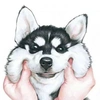 betti husky - @mbettina02 Tiktok Profile Photo