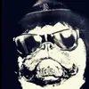 Billy Blues - @billyblues2000 Tiktok Profile Photo