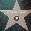 Brian Strickland - @brianstrickland Tiktok Profile Photo