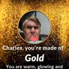 Charles Ashley - @charlesashley53 Tiktok Profile Photo