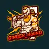 Ginger_hound - @ginger_hound Tiktok Profile Photo