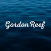 Gordon.Reef - @gordon.reef Tiktok Profile Photo