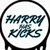 Harry - @harryhaskicks Tiktok Profile Photo