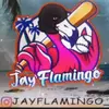 JayFlamingoFanpage - @jayflamingofanpage Tiktok Profile Photo