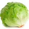 lettuce913 - @jaylist69 Tiktok Profile Photo