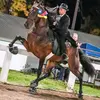 John McCray - @horseriding311 Tiktok Profile Photo