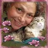 Judy Hoffman - @catsrbabies2 Tiktok Profile Photo
