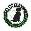 Kathleen Carrigan - @kathleencarrigan1 Tiktok Profile Photo