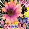 kathymaxner - @kathymaxner Tiktok Profile Photo