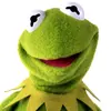Kermit - @yo.boy.kermit Tiktok Profile Photo