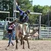 Lane Crews - @therodeoguy Tiktok Profile Photo