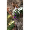 laurine__ots - @laurine__ots Tiktok Profile Photo