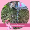 Lea Ann Whitehead - @leaannwhitehead Tiktok Profile Photo