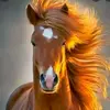  - @leonardohorses Tiktok Profile Photo