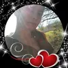  - @lisagodfrey2 Tiktok Profile Photo