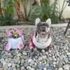 marilyn._frenchie - @marilyn._frenchie Tiktok Profile Photo