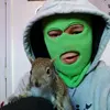 Michael Cartwright - @andy.the.squirrel Tiktok Profile Photo