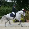 Michelle Harper - @mh_equestrian1 Tiktok Profile Photo